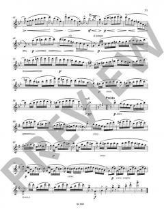 15 Etudes modernes et progressives von Giuseppe Gariboldi (Download) 