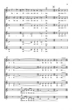 Canticum Novum von Ivo Antognini 