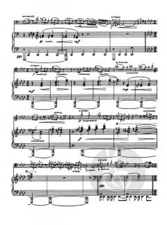 Music for Cello and Piano von Ernest Bloch im Alle Noten Shop kaufen