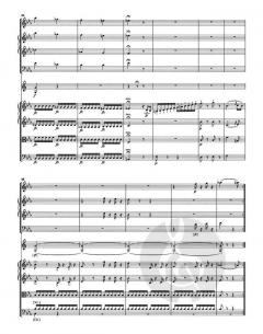 Sinfonie c-Moll Hob. I:78 von Joseph Haydn 