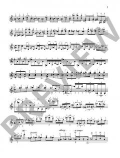 Aria e cadenza von Krzystof Penderecki 