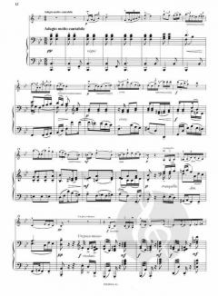 Schüler-Konzert Nr. 6 D-Dur op. 50 von Friedrich Seitz 