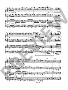 Lisztomania von Péter Eötvös 