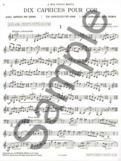 Les Yeux Noirs für 3 Hörner und Klavier im Alle Noten Shop kaufen