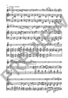 Kleine Lyrik op. 102/2 von Erich Sehlbach (Download) 