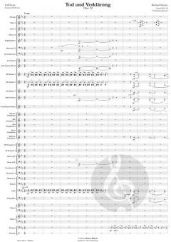 Tod und Verklärung op. 24 von Richard Strauss (Download) 