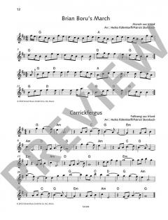 The Irish Violin Book (Download) im Alle Noten Shop kaufen