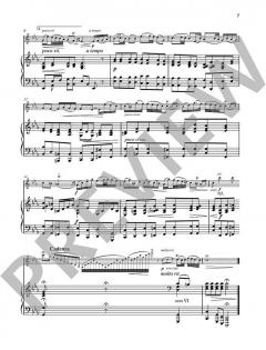 Joy of Music - Discoveries from the Schott Archives (Download) 