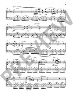 10 ausgewählte Nocturnes von Frédéric Chopin (Download) 