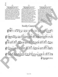 Irish Fiddle Solos von Pete Cooper (Download) 