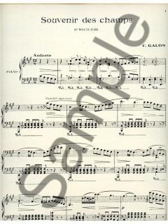 Souvenir Des Champs von C. Galos 