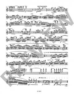 Ikarus WV 27 für Soloflöte von Lehmann,Markus (Download) im Alle Noten Shop kaufen