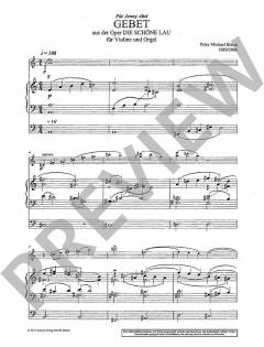 Gebet von Peter Michael Braun (Download) 