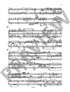 Neues Duo nach der 'Schönen Lau' von Peter Michael Braun (Download) 