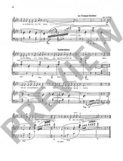 Sarkasmen von Hans-Klaus Langer (Download) 