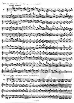 100 Etudes Faciles et Progressives d'apres Cramer Vol. 2 von Marcel Moyse 