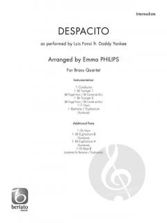 Despacito von Luis Fonsi 