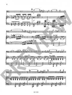 Konzertino in Es-Dur op. 4 von Ferdinand David 