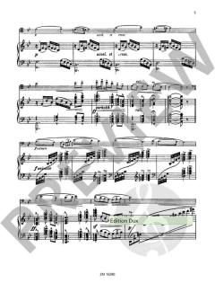 Fantasie op. 13 (Walter Simon Huber) 