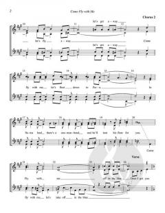 Come Fly with Me von Frank Sinatra 