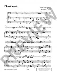 Querflöte spielen - mein schönstes Hobby: Der Konzertband von Cathrin Ambach (Download) im Alle Noten Shop kaufen