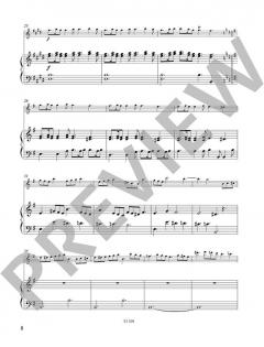 Querflöte spielen - mein schönstes Hobby: Der Konzertband von Cathrin Ambach (Download) im Alle Noten Shop kaufen