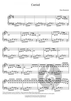 Carried von Peter Broderick (Download) 