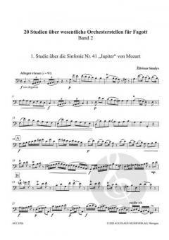 Studien über Orchesterstellen 2: 20 Studien von Zilvinas Smalys 