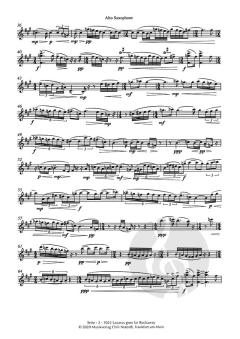 Làrus goes to Far Rockaway op. 104 von Derek Edward Healey (Download) 