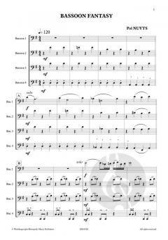 Bassoon Fantasy von Pol Nuyts 