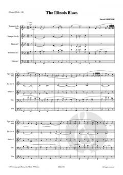 The Illinois Blues von Patrick Hiketick 