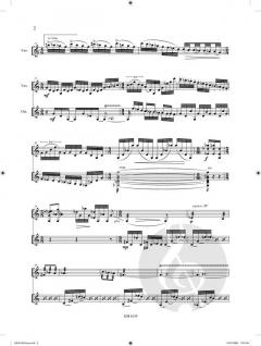 Suite Gipsy Music von Jan van Landeghem 