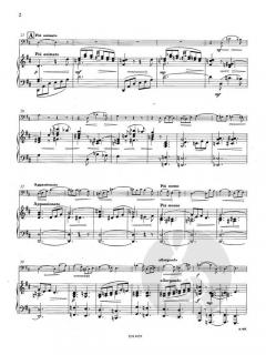 Andante & Allegro op. 23 von Theo Van Doren 