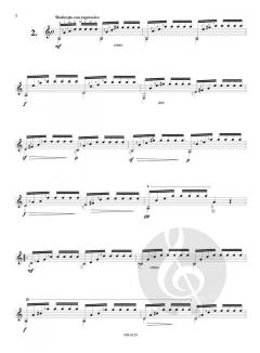 25 Studies op. 60 von Matteo Carcassi 