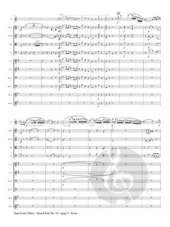 Grand Solo No. 13 von Jean-Louis Tulou 