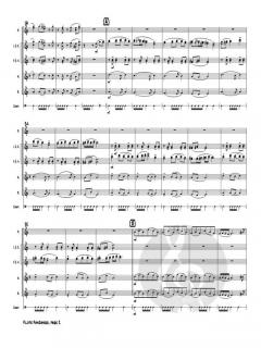 Flute Fandango von Sonny Burnette 