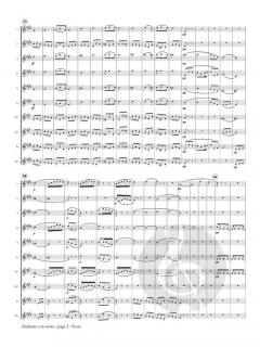 Andante con moto from Symphony No. 8 von Franz Schubert 