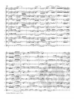 Andante Moderato from Symphony No. 4 von Johannes Brahms 
