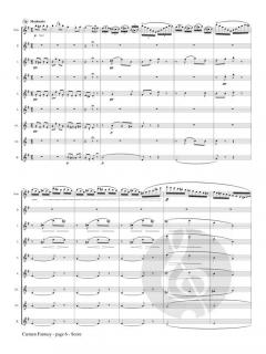Carmen Fantasy von Francois Borne 