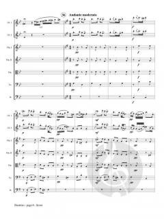 Duettino sur des Motifs Hongrois op. 36 von Franz Doppler 