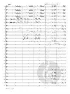Nocturno von Franz Strauss 