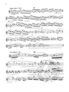 Preludes, Vol. IV von David Loeb 