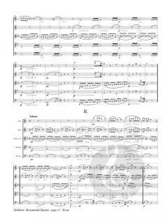 Quartet in A minor op. 29, No. 13, D. 804 'Rosamunde' von Franz Schubert 