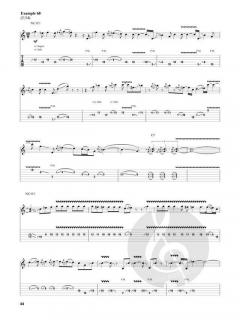 Electric Blues & Slide Guitar von Warren Haynes 
