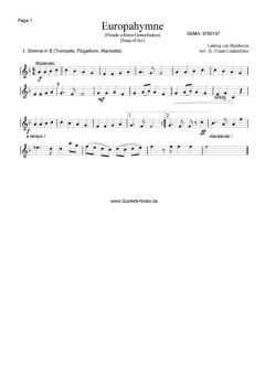 Europahymne (Ludwig van Beethoven) 