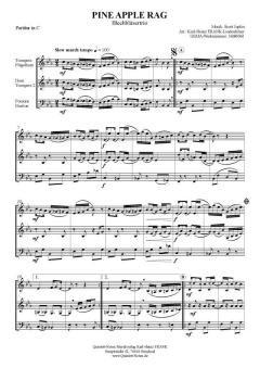 Pineapple Rag (Scott Joplin) 