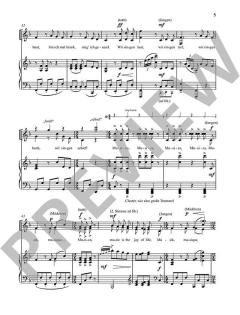 The Joy of Music von Enjott Schneider 