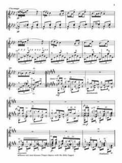 Zwei Humoresken op. 101/3+7 von Antonín Dvorák 