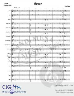 Odyssey von Timothy Fisher 