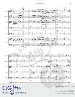 Sonatina in D von Franz Schubert 